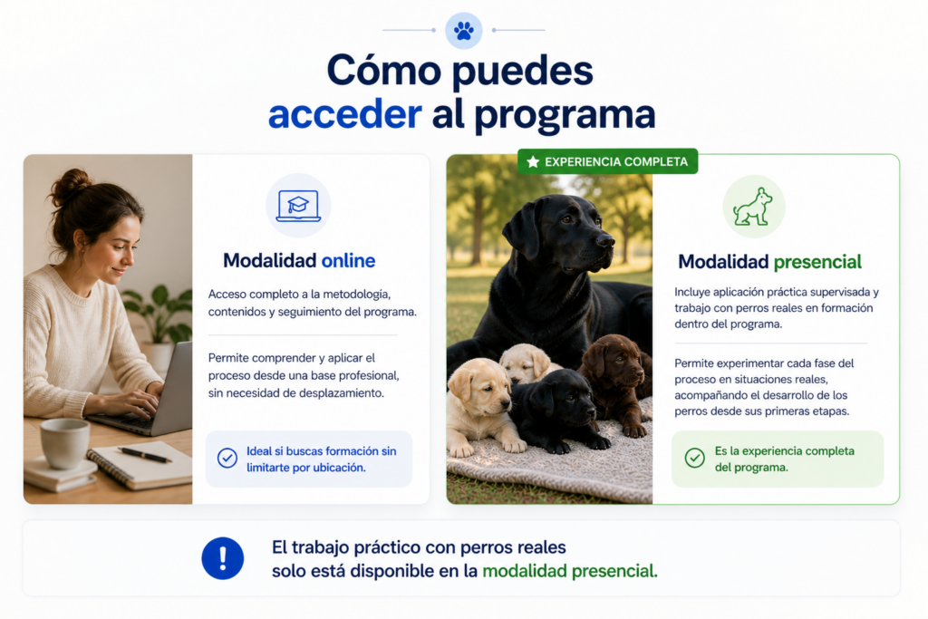 Comparación entre modalidad online y presencial en formación de perros de intervención con labradora negra y cachorros en entorno natural